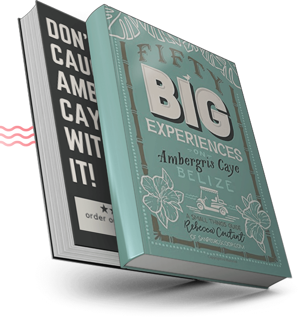book-big