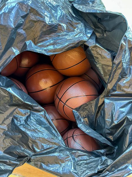 Donated Basketballs