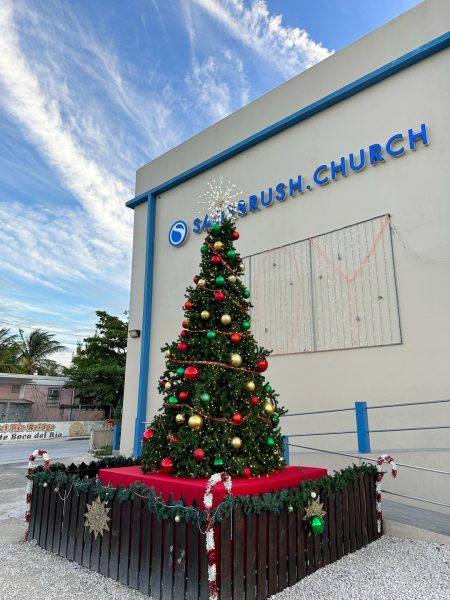 Sagebrush Christmas Tree