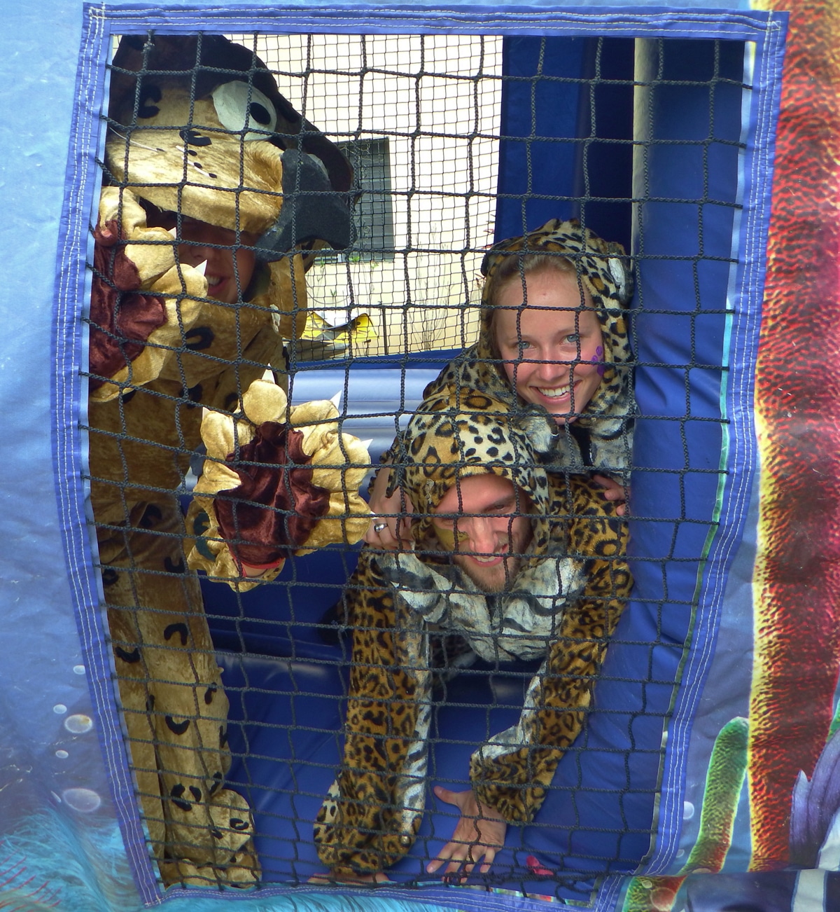 5 adult Jaguars in bouncy castle