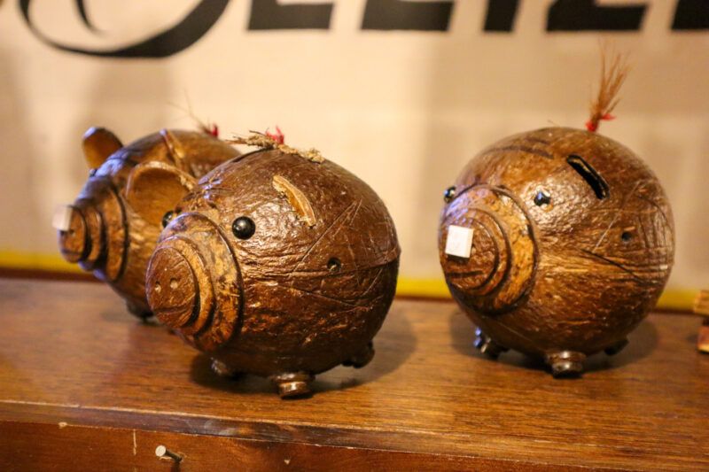 Coconut PIggy Banks