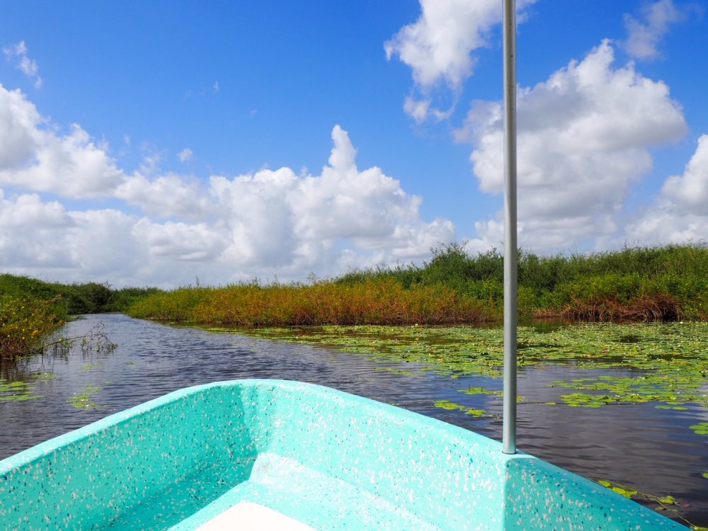 Boat ride on the Crooked Tree Lagoon