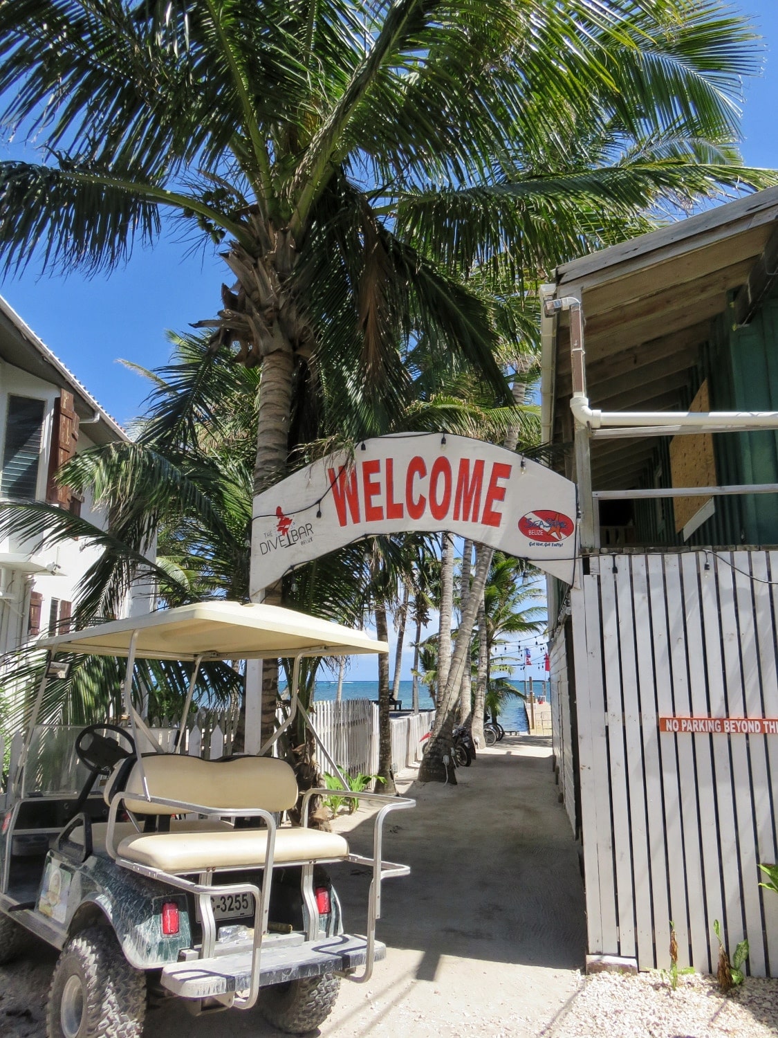 Dive Shop Entrance Ambergris Caye Belize