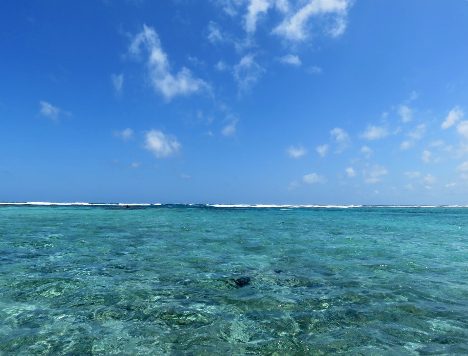 The Reef.  Ambergris Caye, Belize