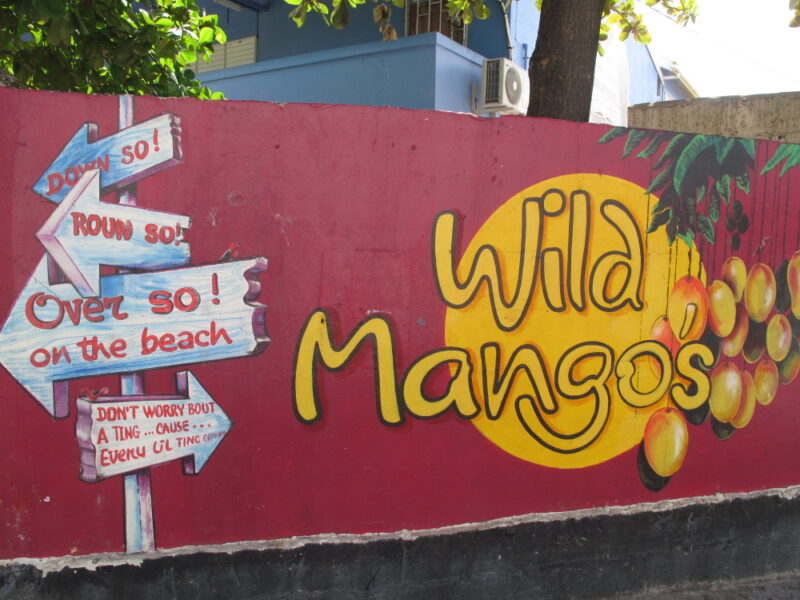 Wild Mangos