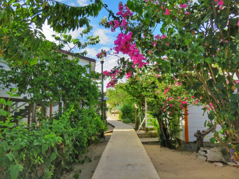 The Sidewalk, Placencia, Belize