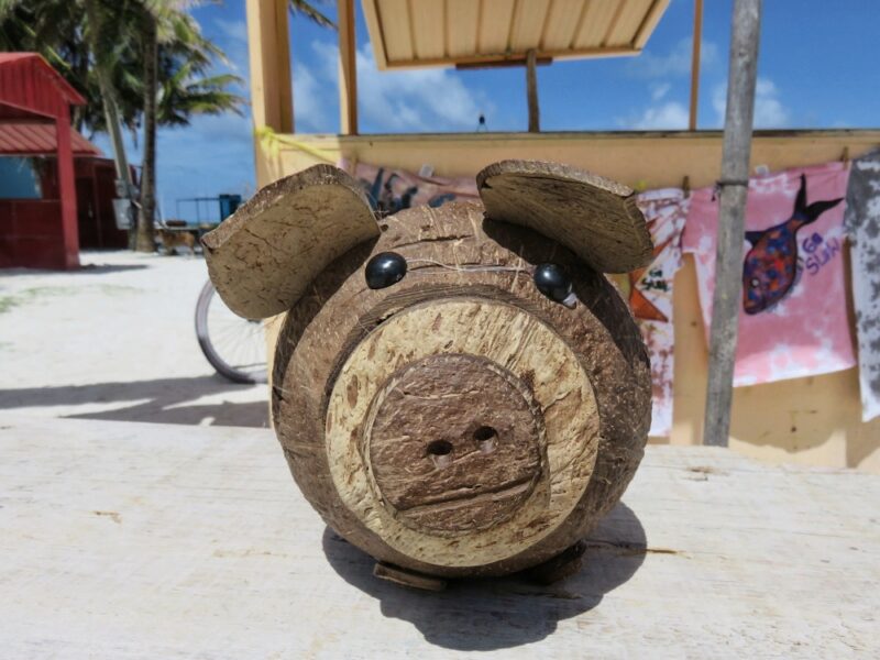 Belize Currency - Coconut Piggy Bank