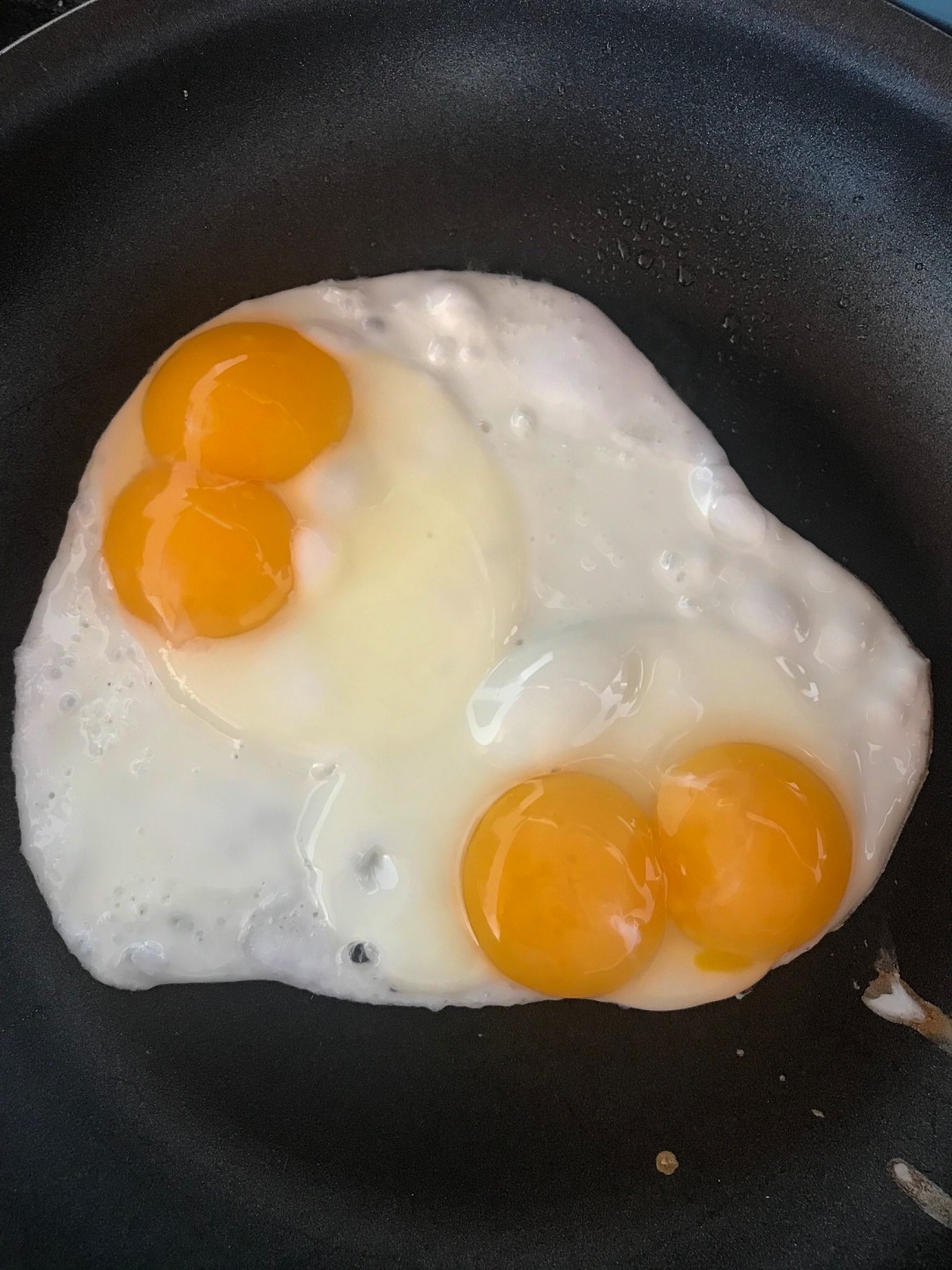Double Yolk Egg