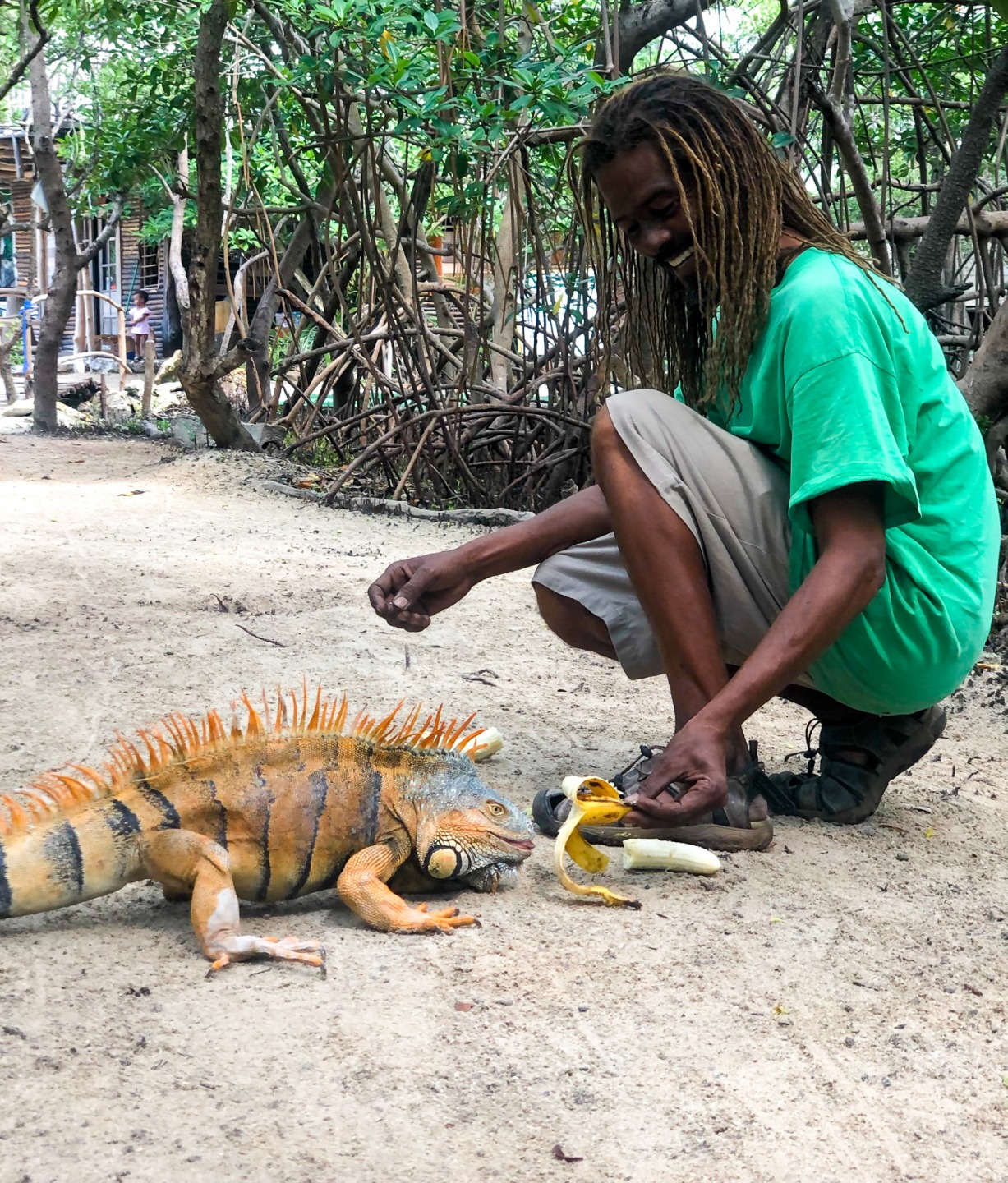 Calvin at the Iguana Park feeding a banana