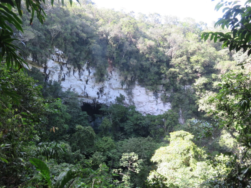 Belize Tours - Adventure Rappelling in the "Black Hole" with San Pedro Scoop
