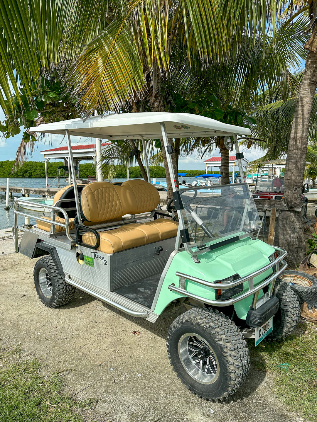 Our golf cart