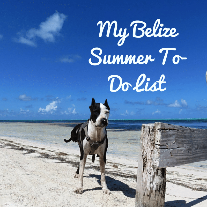 My Belize Summer To-Do List
