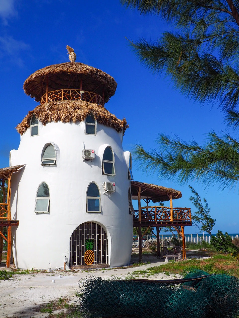 Pineapple Palapa Caye Caulker