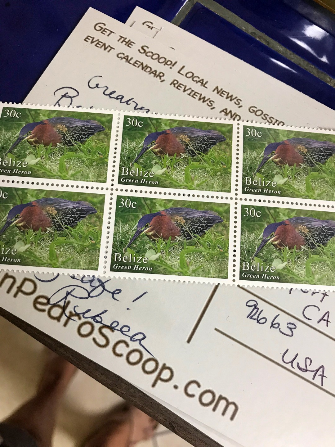 Post Card Stamp Belize