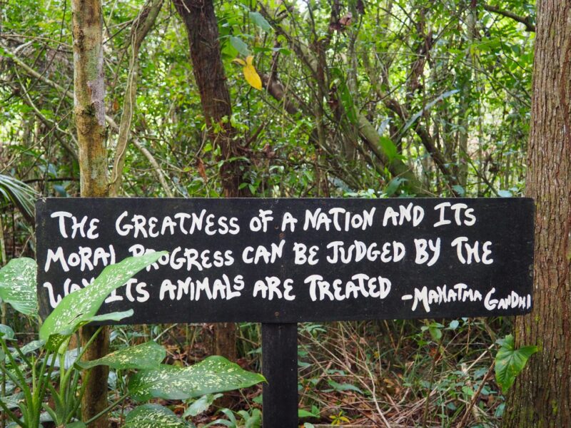 Gadhi Quote at the Belize Zoo