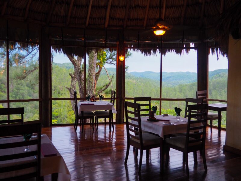 Dining room at Gaia