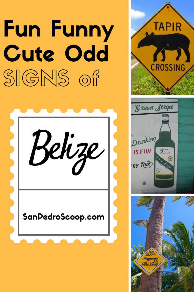 The cute, odd, fun, funny Signs of Belize.