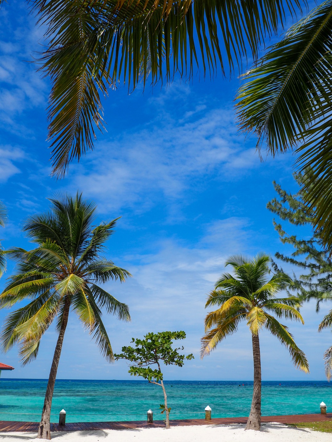 Gorgeous ocean view at Ray Caye