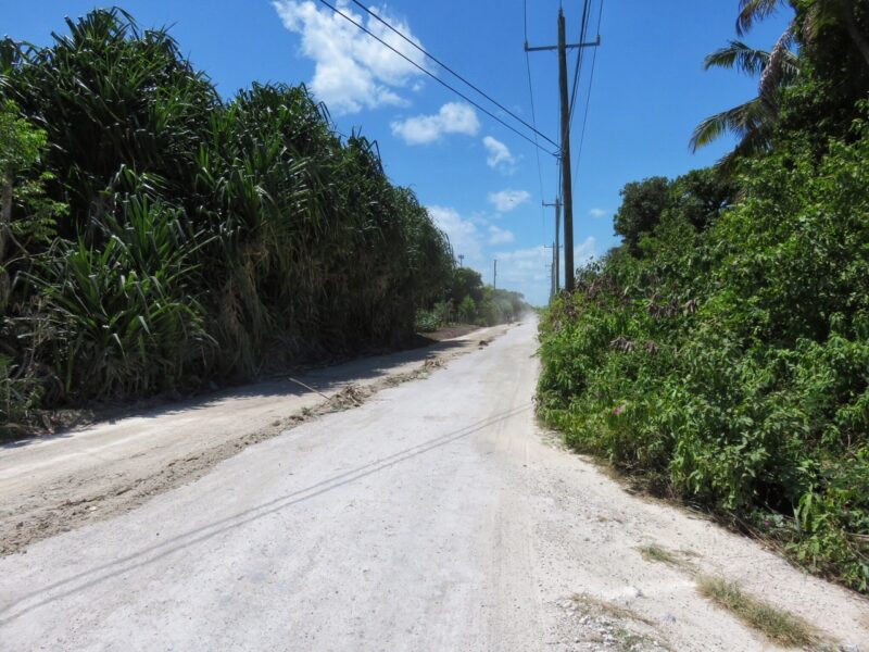 Road Mata Grande