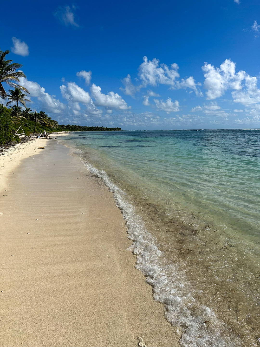 Beach at Robles Point