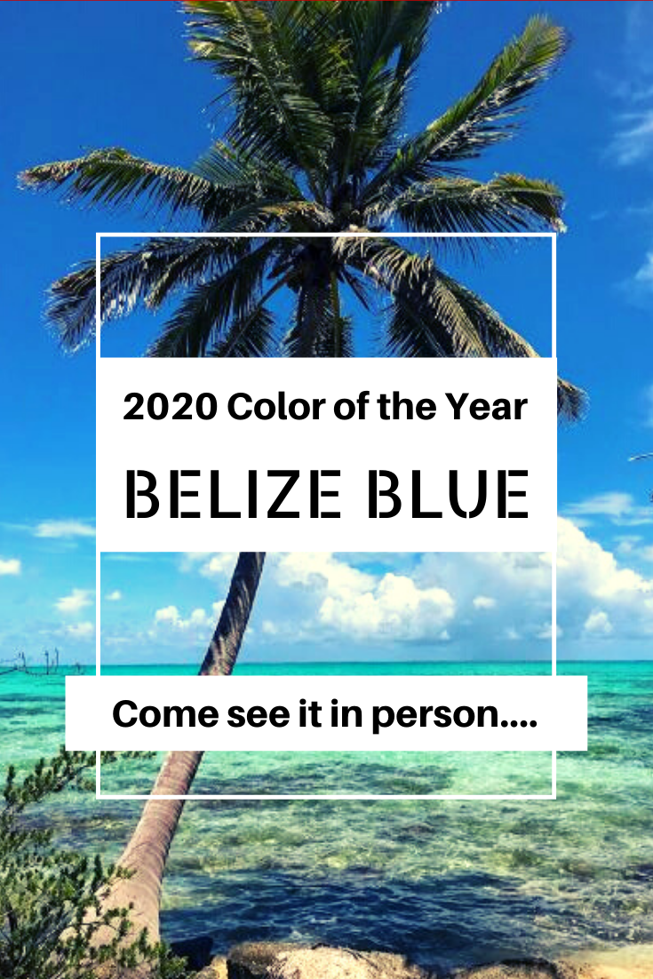 2020 Color of the Year:  Belize BLUE!  Come see your new favorite color in person...