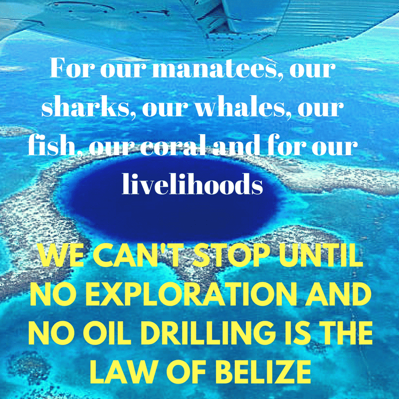 save-our-manatees-our-sharks-our-whales-our-fish-our-coral-reef-our-livelihoods-our-heritage