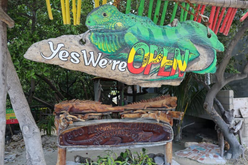 Iguana Sanctuary Signs