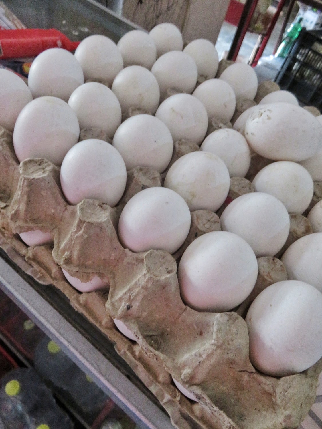 White eggs in La Union Mexico