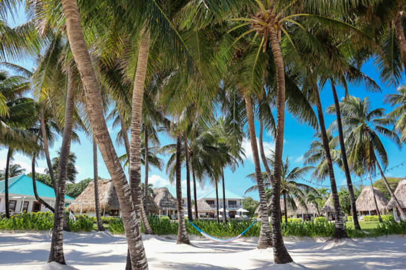 Beach and Hammock at Victoria House