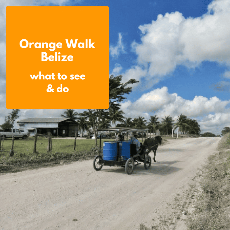 What is there to see and do in Orange Walk, Belize? Let me show you a few excellent tours.