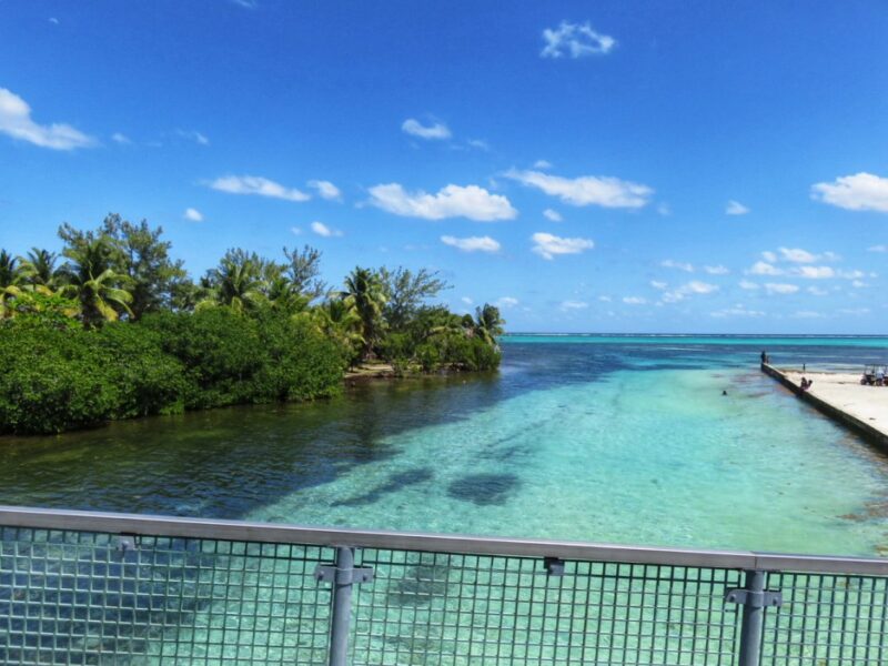 Bridge view