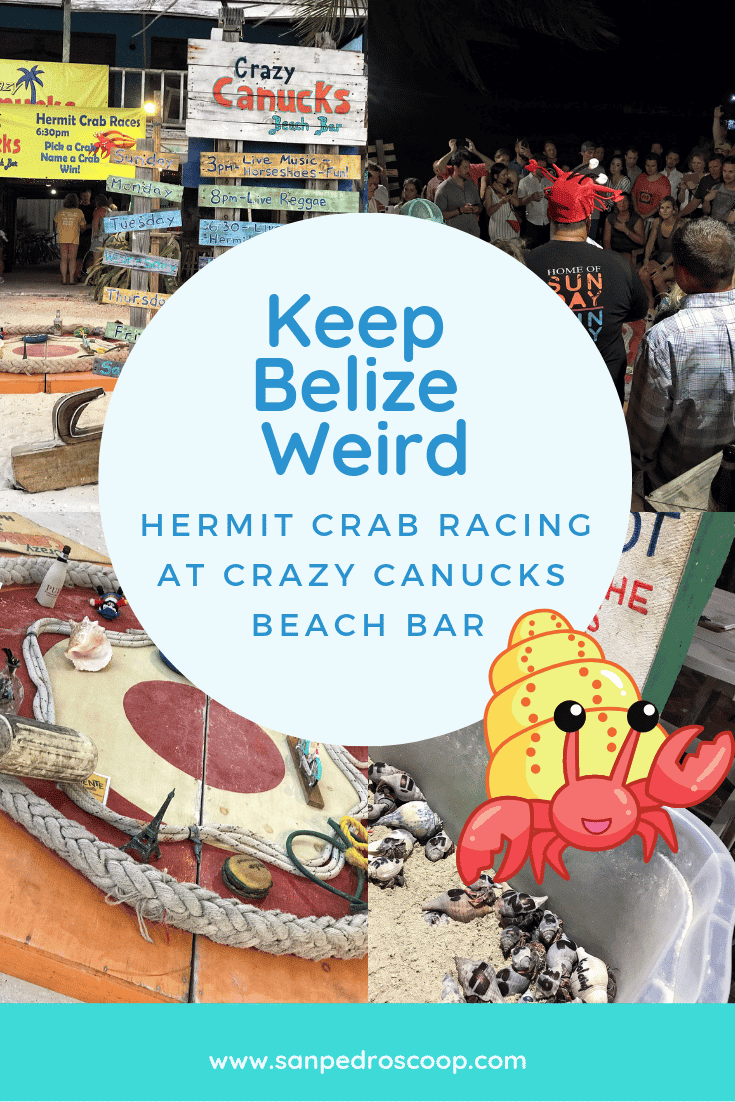 Crazy Canuck Hermit Crab Races