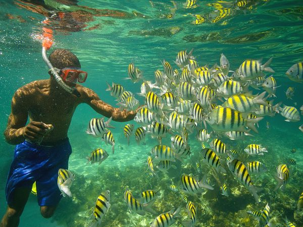 jamaica-snorkler