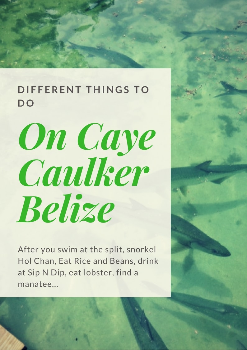 Caye Caulker Belize is awesome - here are some different things you can do when you visit.