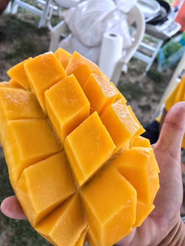 Gorgeous mango in Hopkins