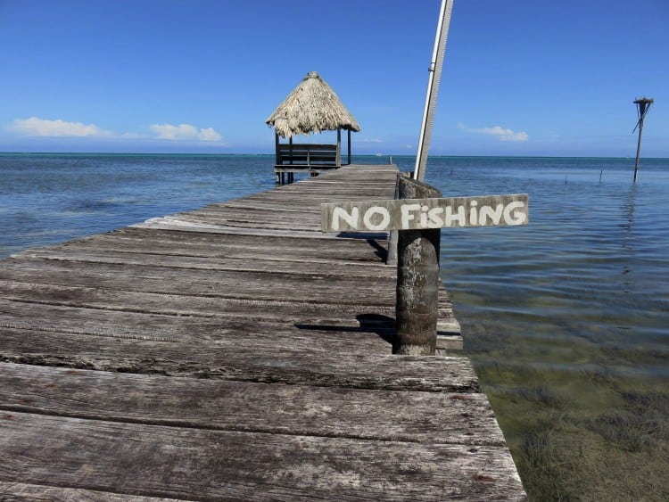 no fishing