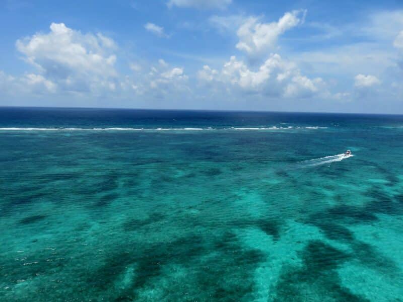 parasailing view reef ambergris