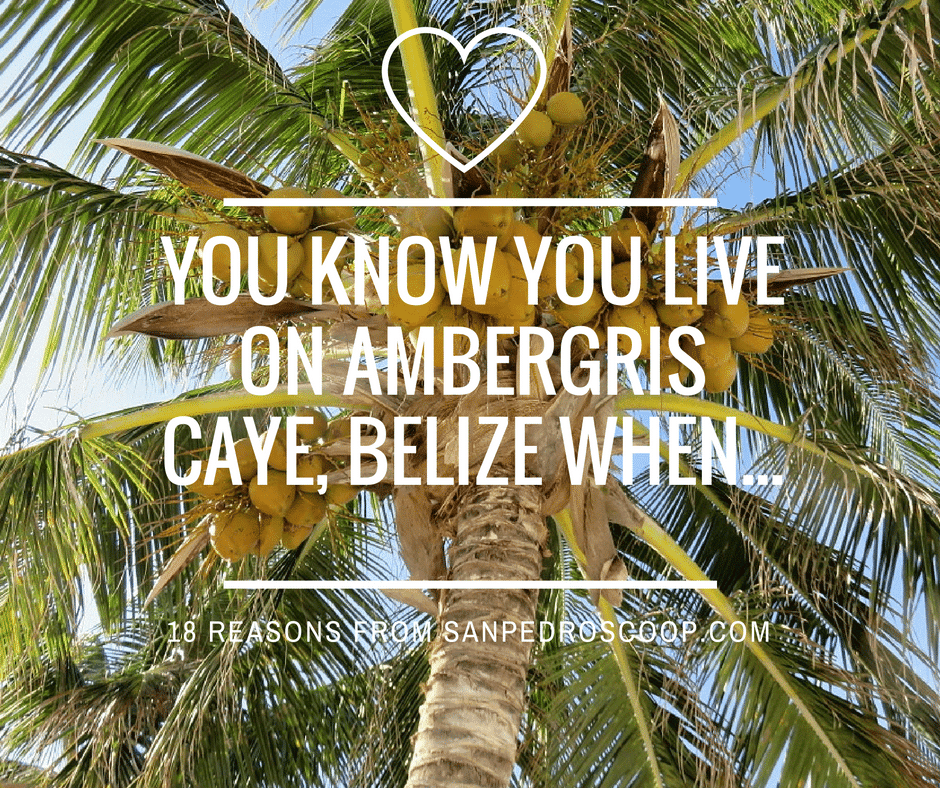 18 Reasons When You KNOW You Live on Ambergris Caye, Belize