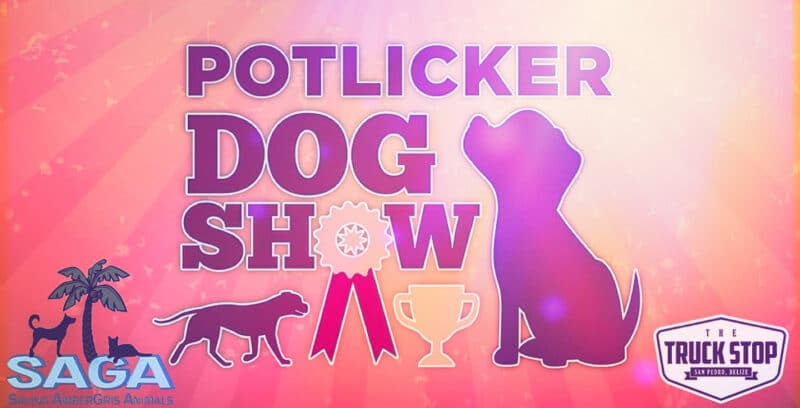 Potlicker Dog Show