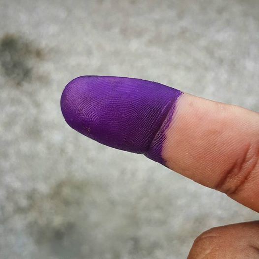 Voting purple finger