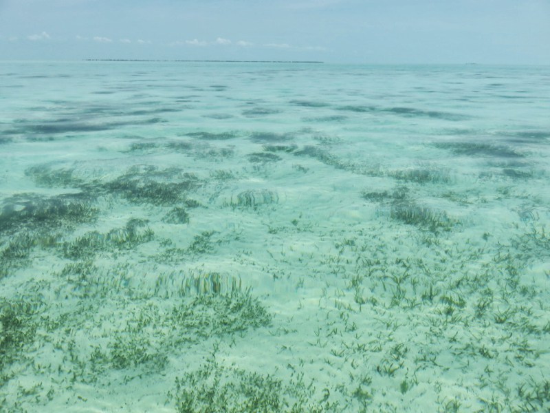 Salt water flats by Cayo Rosario