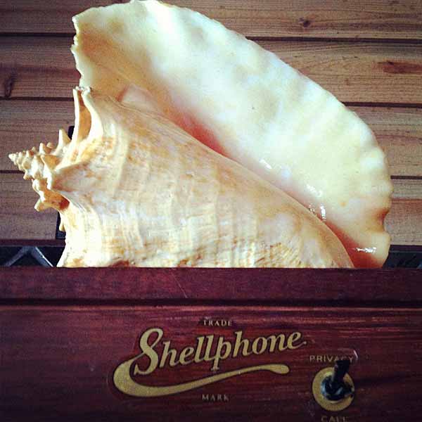 shellphone
