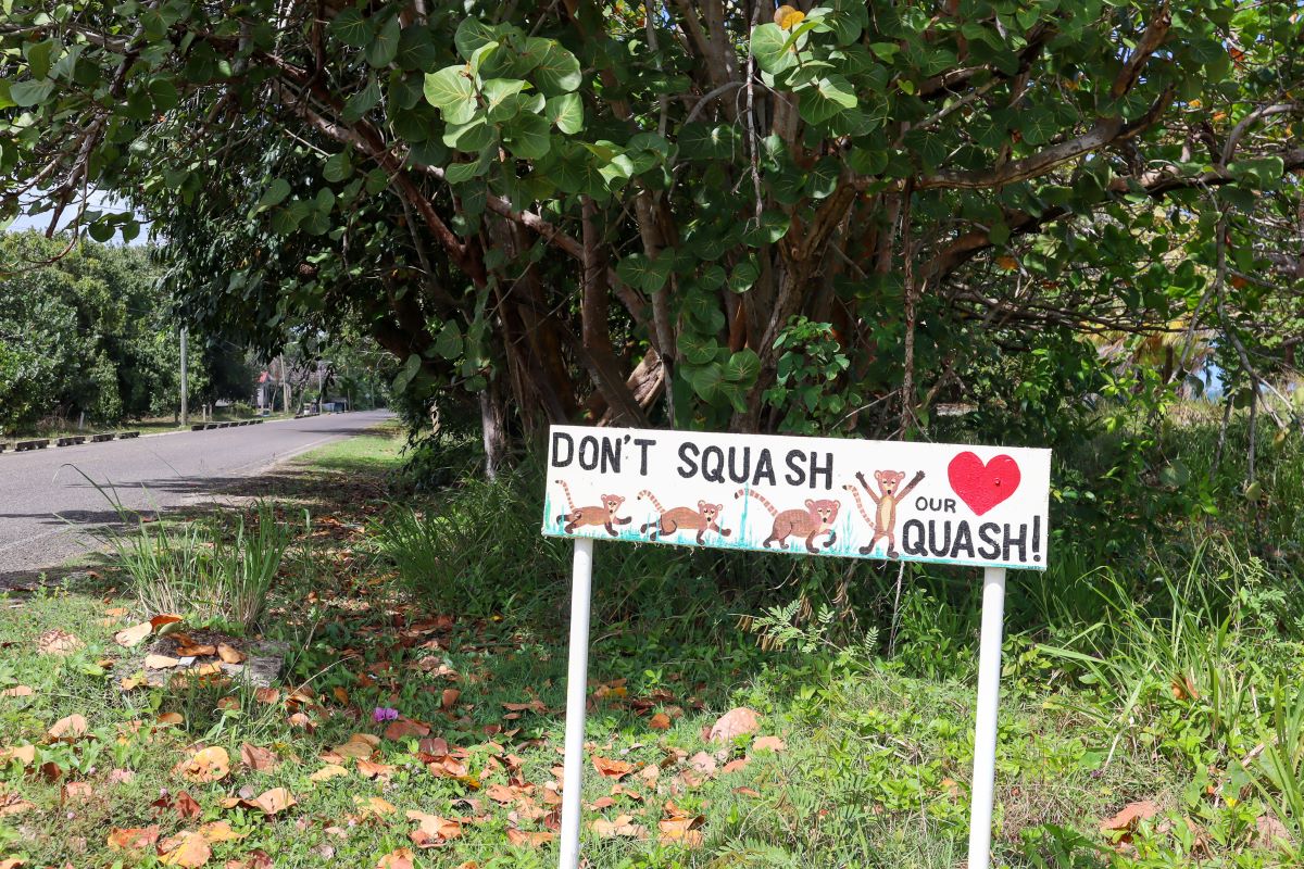 Squash the Quash sign