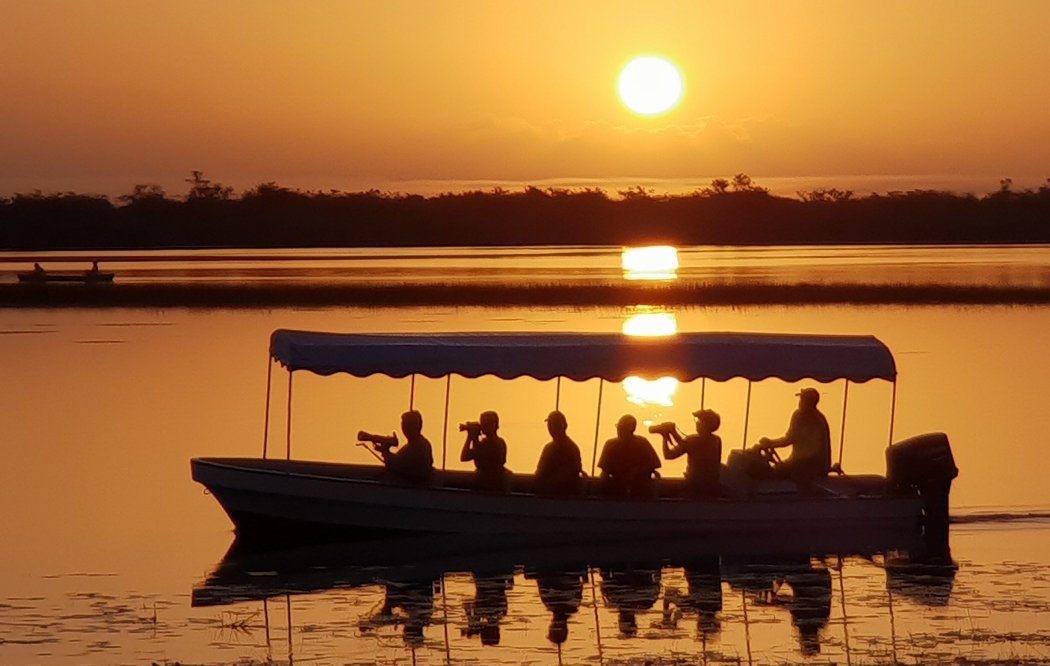 Sunrise birding at Crooked Tree