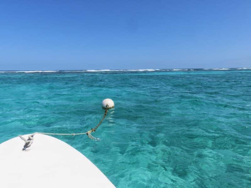 Getting to Hol Chan Marine Reserve early - so you can snorkel alone in Belize.