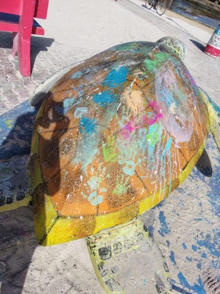 Turtle with Paint