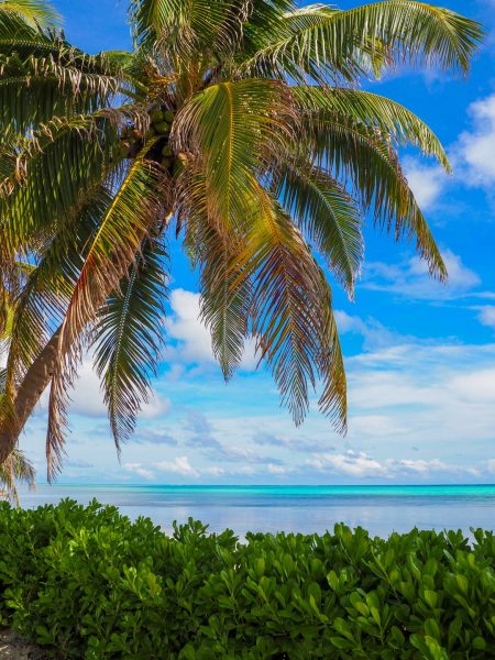 Beach view at North Ambergris Caye