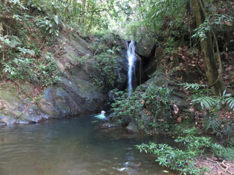 Belize Tour - Adventure at Cockscomb Reserve by SanPedroScoop