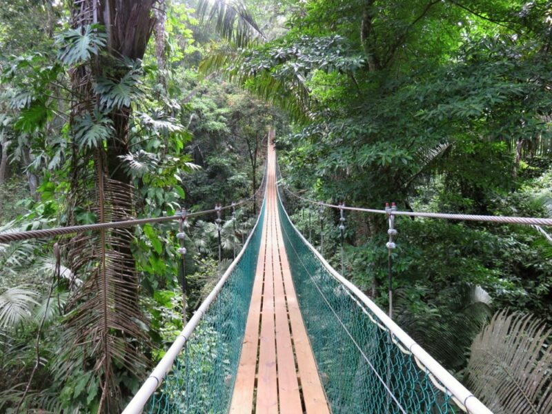Rope Bridge - Belize Adventure Tour - SanPedroscoop