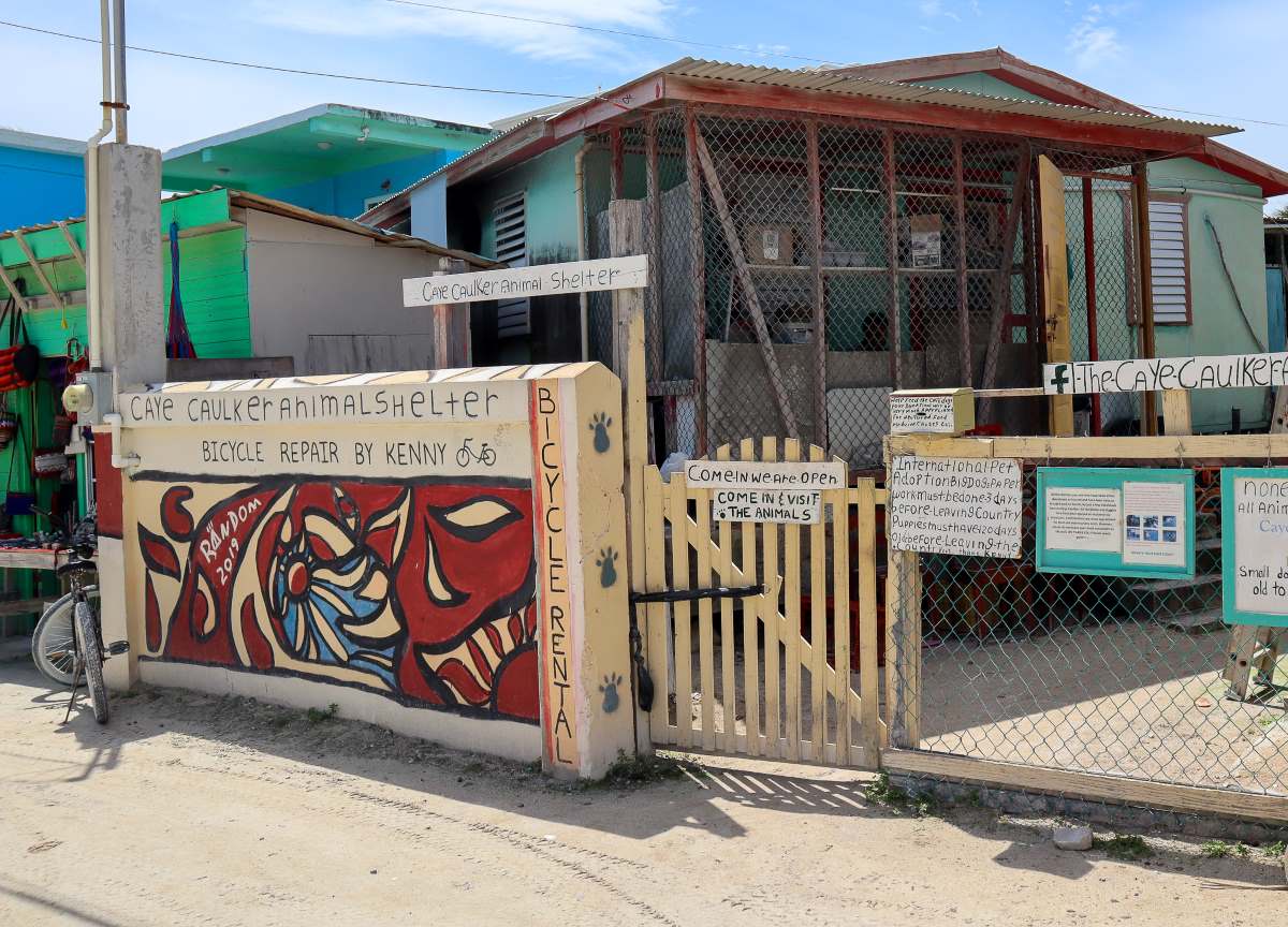 Caye Caulker Animal Shelter